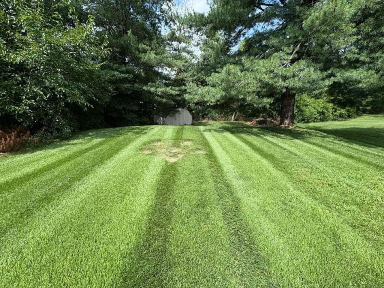 Freshly mowed lawn with clean stripes